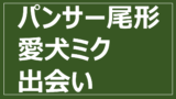 パンサーの尾形がサッカーをやめた理由について調査 仙台育英の元10番 おもちトレンド